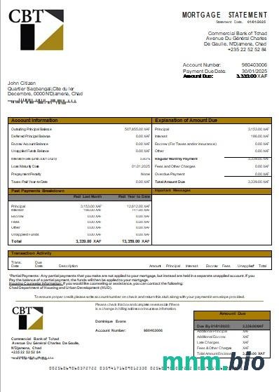 Czad Bank Handlowy Czadu wyciąg z kredytu hipotecznego szablon Word i PDF